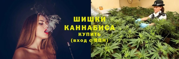 мдпв Мегион