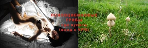 MDMA Медногорск