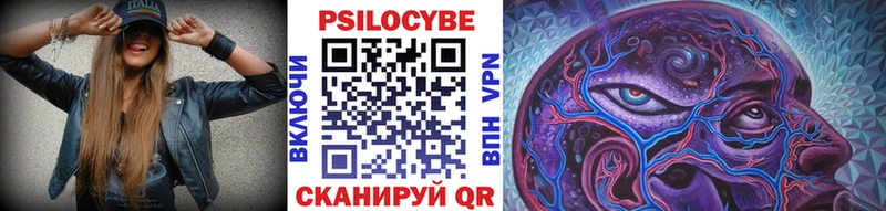 где купить наркоту  Новотроицк  Галлюциногенные грибы Psilocybine cubensis 
