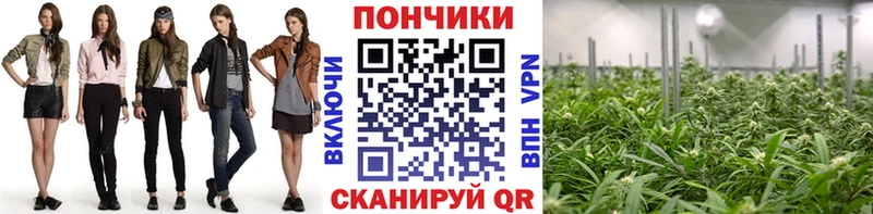 дарнет шоп  ссылка на мегу ССЫЛКА  МАРИХУАНА семена  Новотроицк 